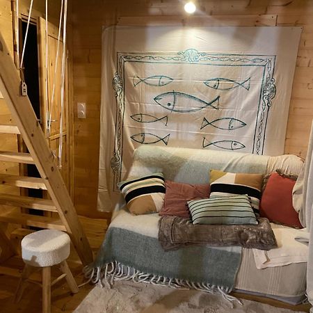 Maison En Bois 1 Chambre 4 Couchages Type Tiny House Γκρανβίλ Εξωτερικό φωτογραφία